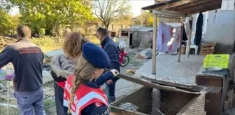 Kırklareli'nde Yasaklı Irk Köpek Besleyene Rekor Ceza