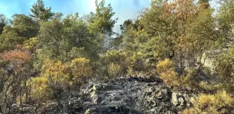 Antalya'da Orman Yangını Kısmen Kontrol Altına Alındı