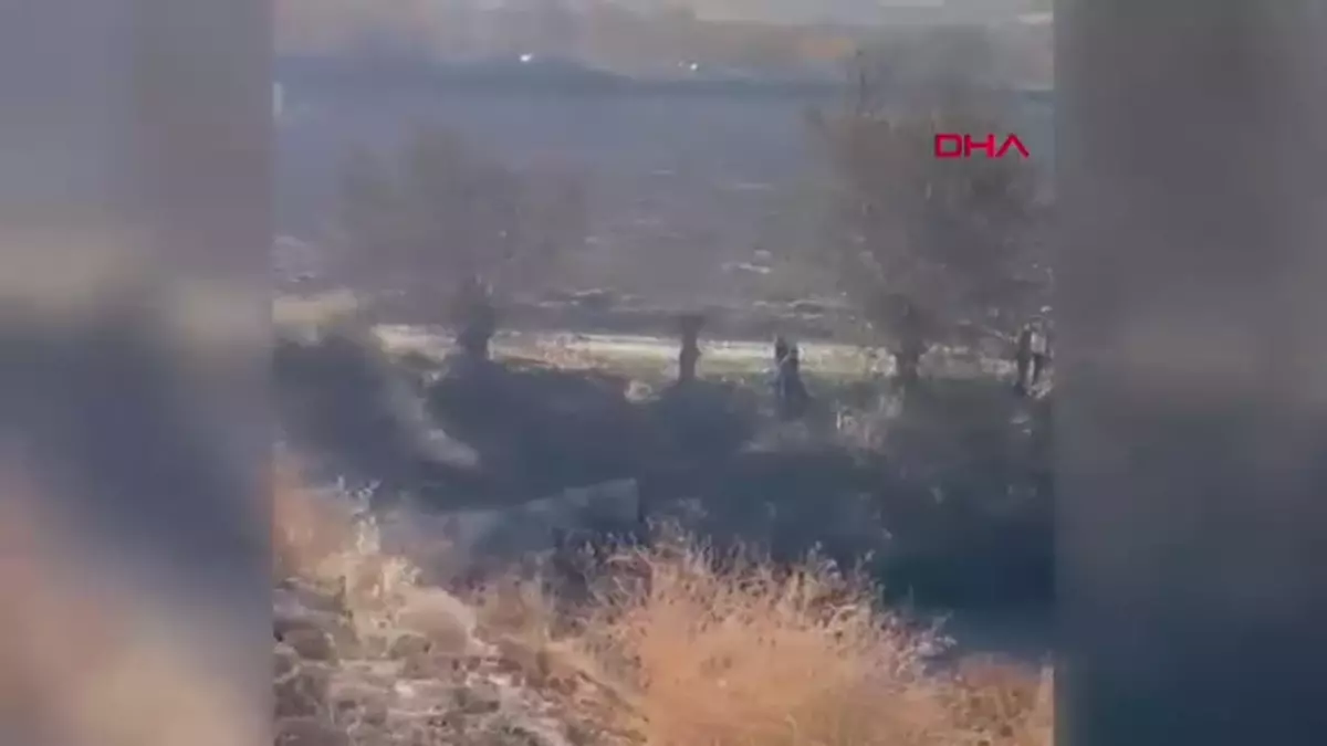 Malatya'da Otomobil Kazası: Sürücü Hayatını Kaybetti