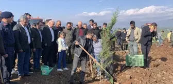Adana ve Mersin'de 11 Kasım Milli Ağaçlandırma Günü Etkinlikleri