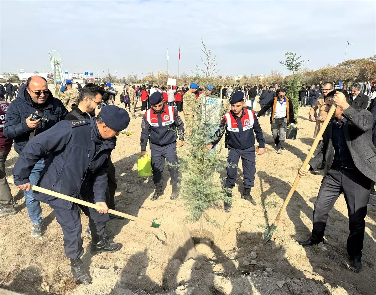 Aksaray'da 11 Kasım Milli Ağaçlandırma Günü Etkinliği