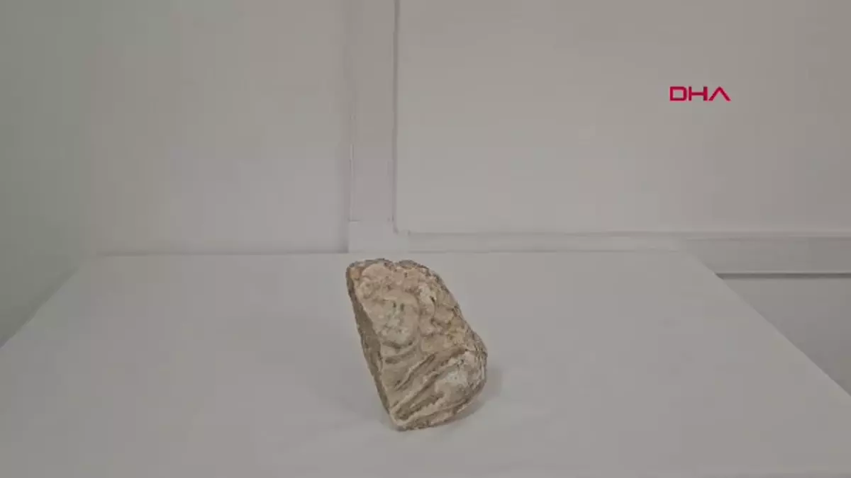 Aydın'da Tarihi Eser Kaçakçılığı Operasyonu