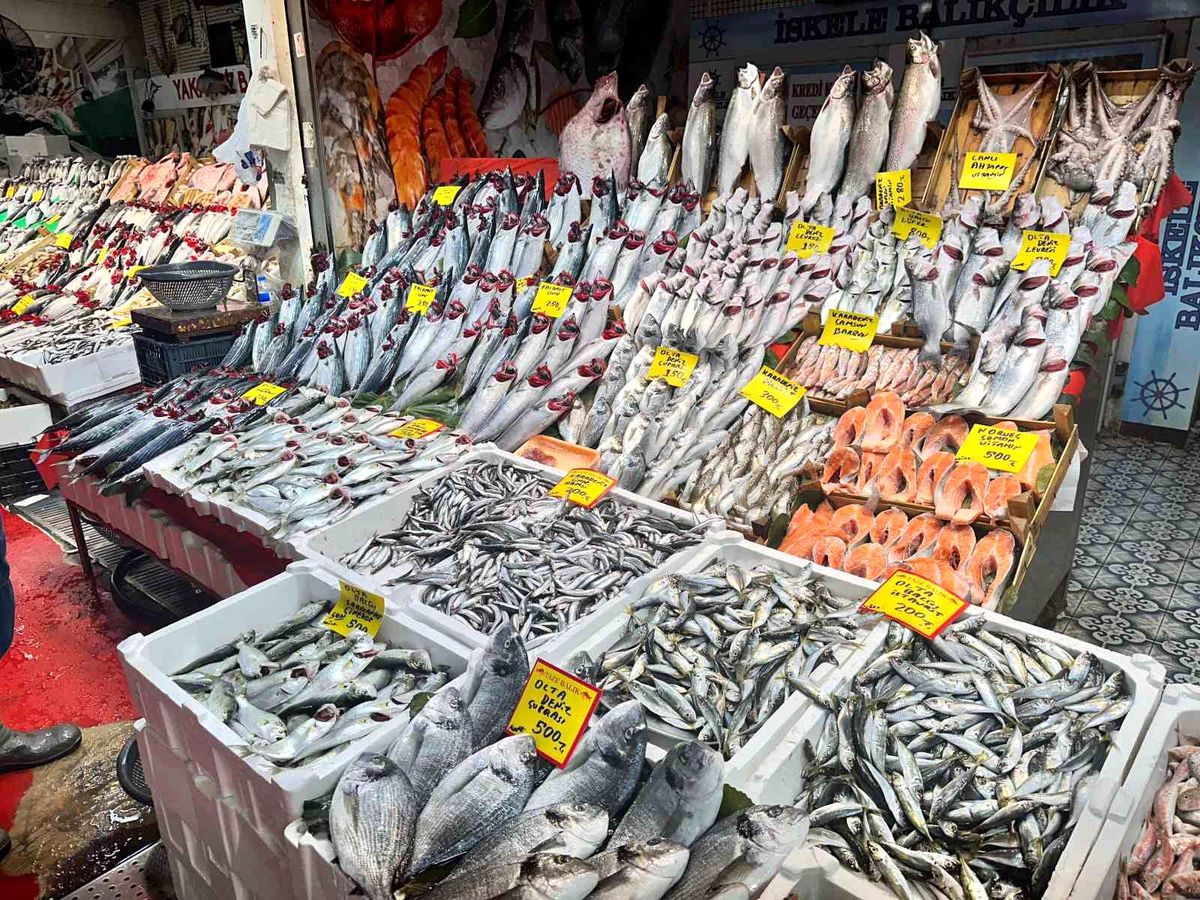 Balık Sezonunda Hamsi ve Çinekop Bolluğu, Palamut Fiyatları Yükseldi