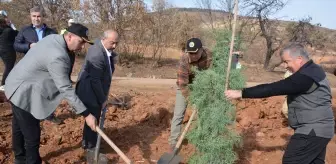 Uşak'ta 11 Kasım Milli Ağaçlandırma Günü Etkinliği Düzenlendi