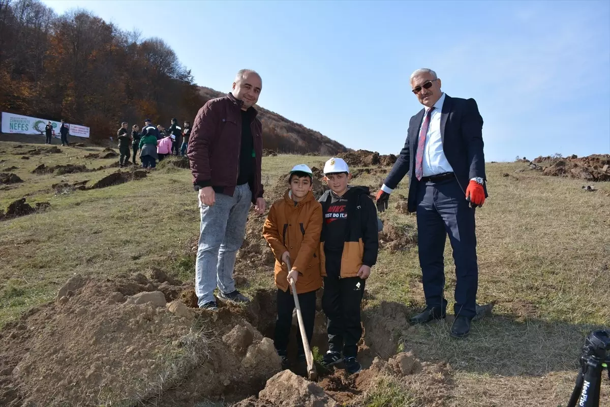 Tokat'ta 11 Kasım Milli Ağaçlandırma Günü Etkinliği Düzenlendi