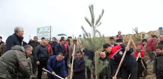 Bitlis'te, Dünya Ahıska Türkleri Birliği Hatıra Ormanı oluşturuldu
