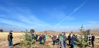 Burdur'da Trafik Kazası: Ölü Sayısı İkiye Yükseldi
