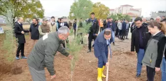 Cizre'de Milli Ağaçlandırma Günü Etkinliği Düzenlendi