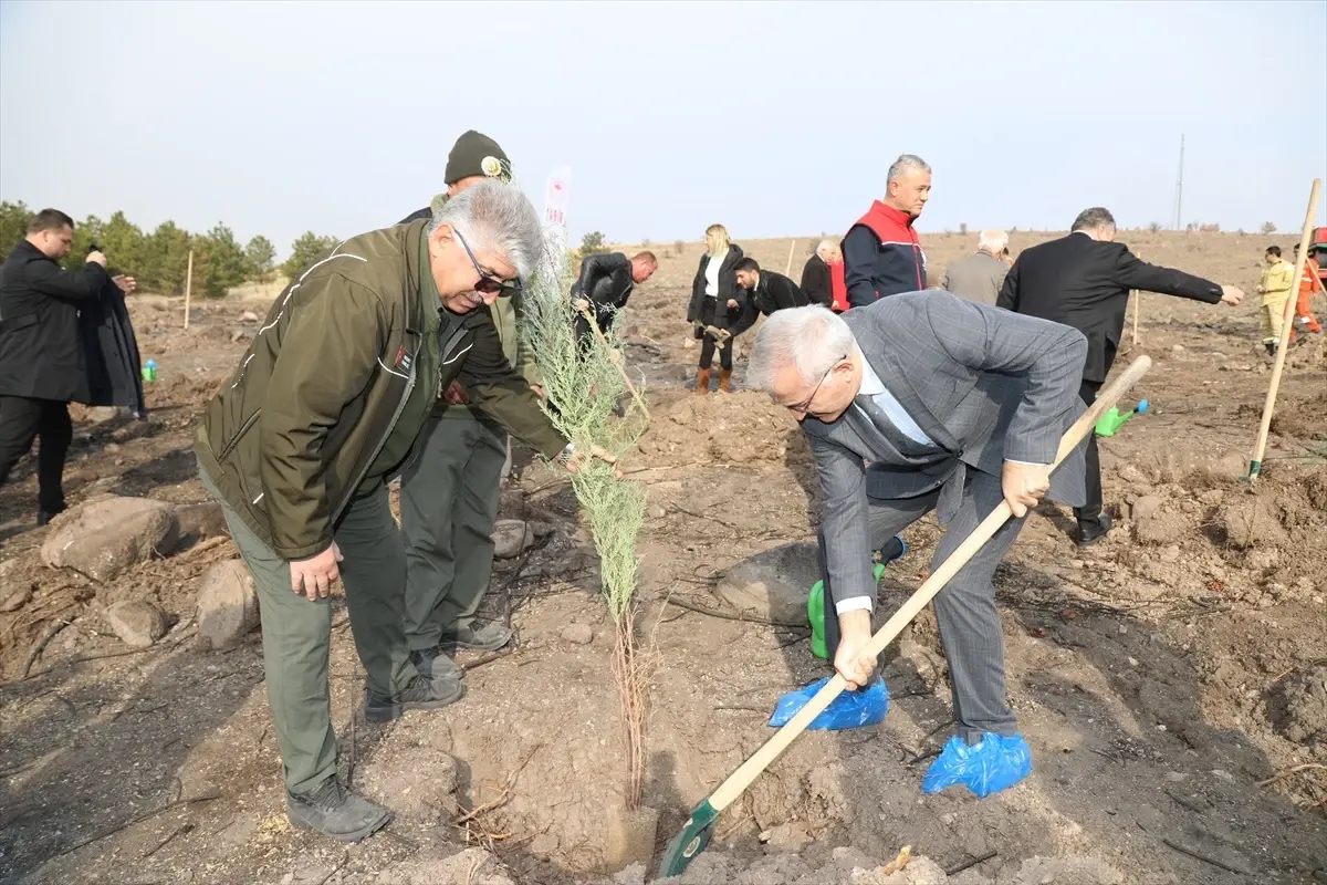 Ankara'da 11 Kasım Milli Ağaçlandırma Günü Etkinliği