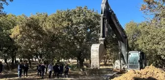 Enez'de Altyapı Çalışmaları ve Hayvan Aşılamaları Devam Ediyor