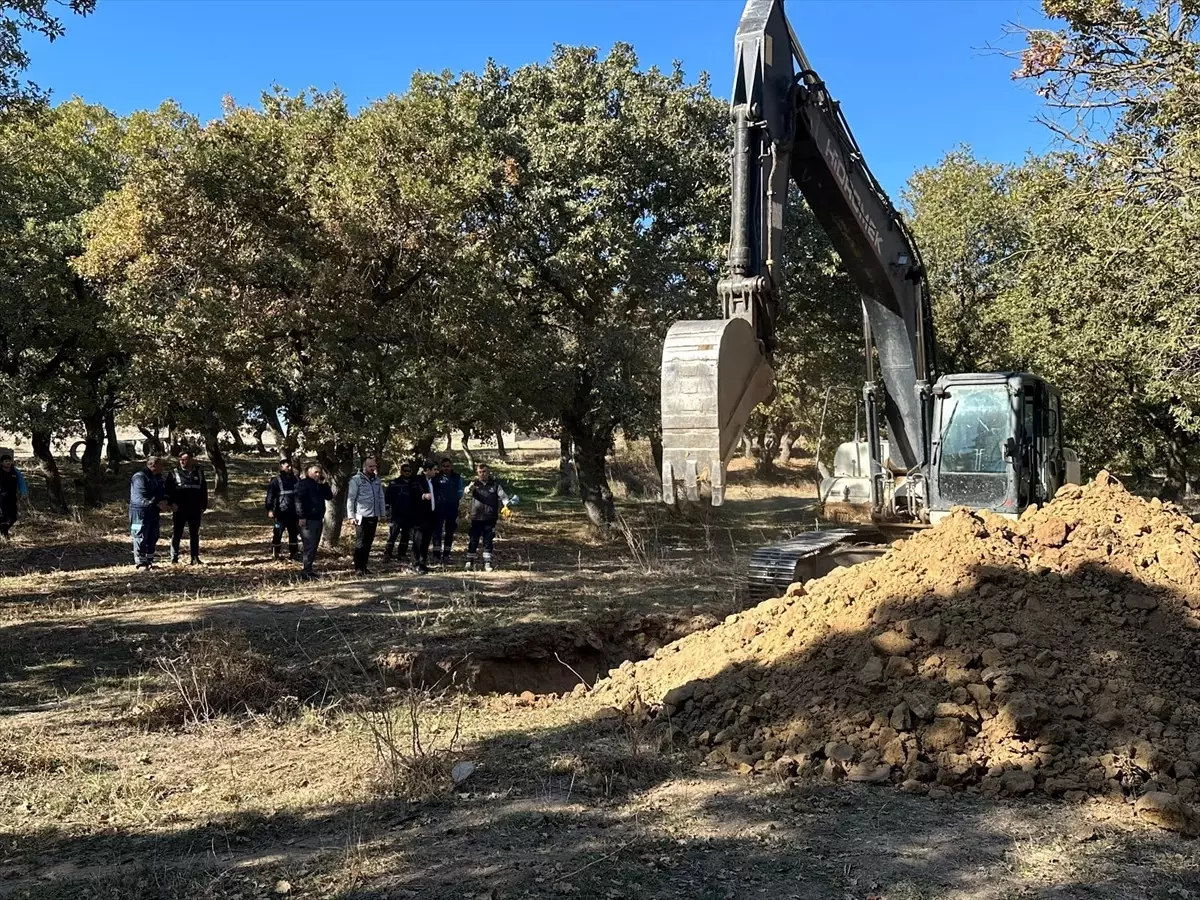 Enez'de Altyapı Çalışmaları ve Hayvan Aşılamaları Devam Ediyor
