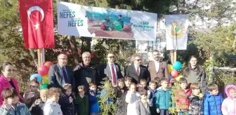 Sinop'un Gerze İlçesinde Ağaçlandırma Etkinliği Düzenlendi