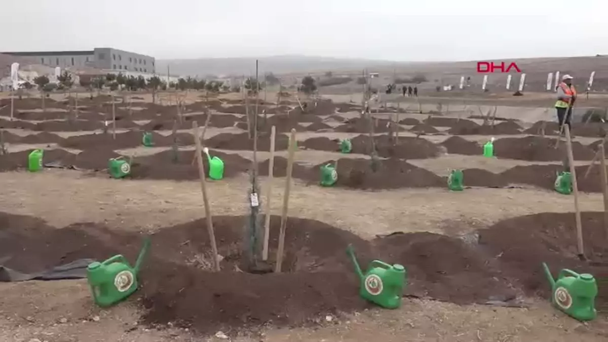 Eskişehir'de Milli Ağaçlandırma Günü Etkinliği: 15 Bin Fidan Dikildi