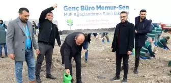 Genç Büro Memur-Sen 11 Kasım'da Fidan Dikti