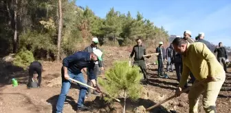 Aydın'da 11 Kasım Milli Ağaçlandırma Günü Etkinliği
