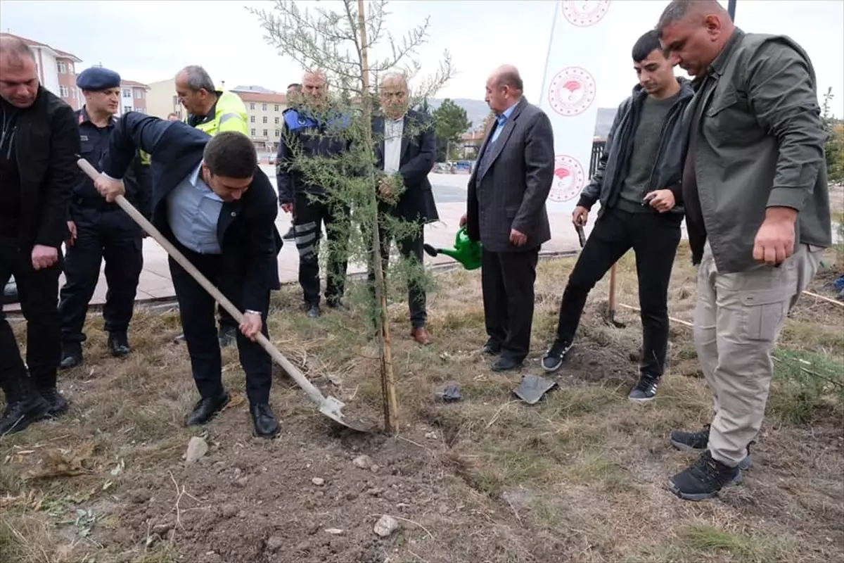 Ankara Güdül'de Milli Ağaçlandırma Günü Etkinliği