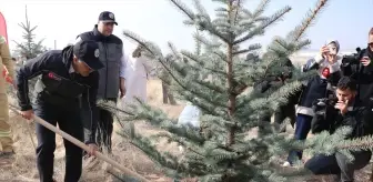 İç Anadolu'da Milli Ağaçlandırma Günü'nde binlerce fidan toprakla buluşturuldu