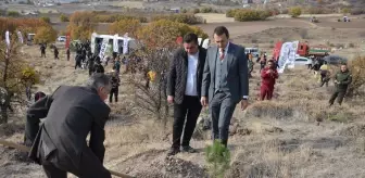 Kahramankazan'da 11 Kasım Milli Ağaçlandırma Günü Etkinliği