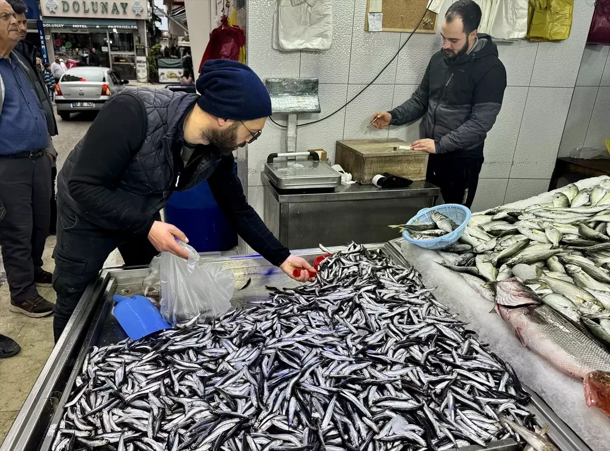 Karadeniz'de Hamsi Fiyatları Yükseliyor: Kilogramı 150 Lira