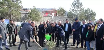 Kastamonu'nun ilçelerinde Milli Ağaçlandırma Günü'nde fidan dikildi