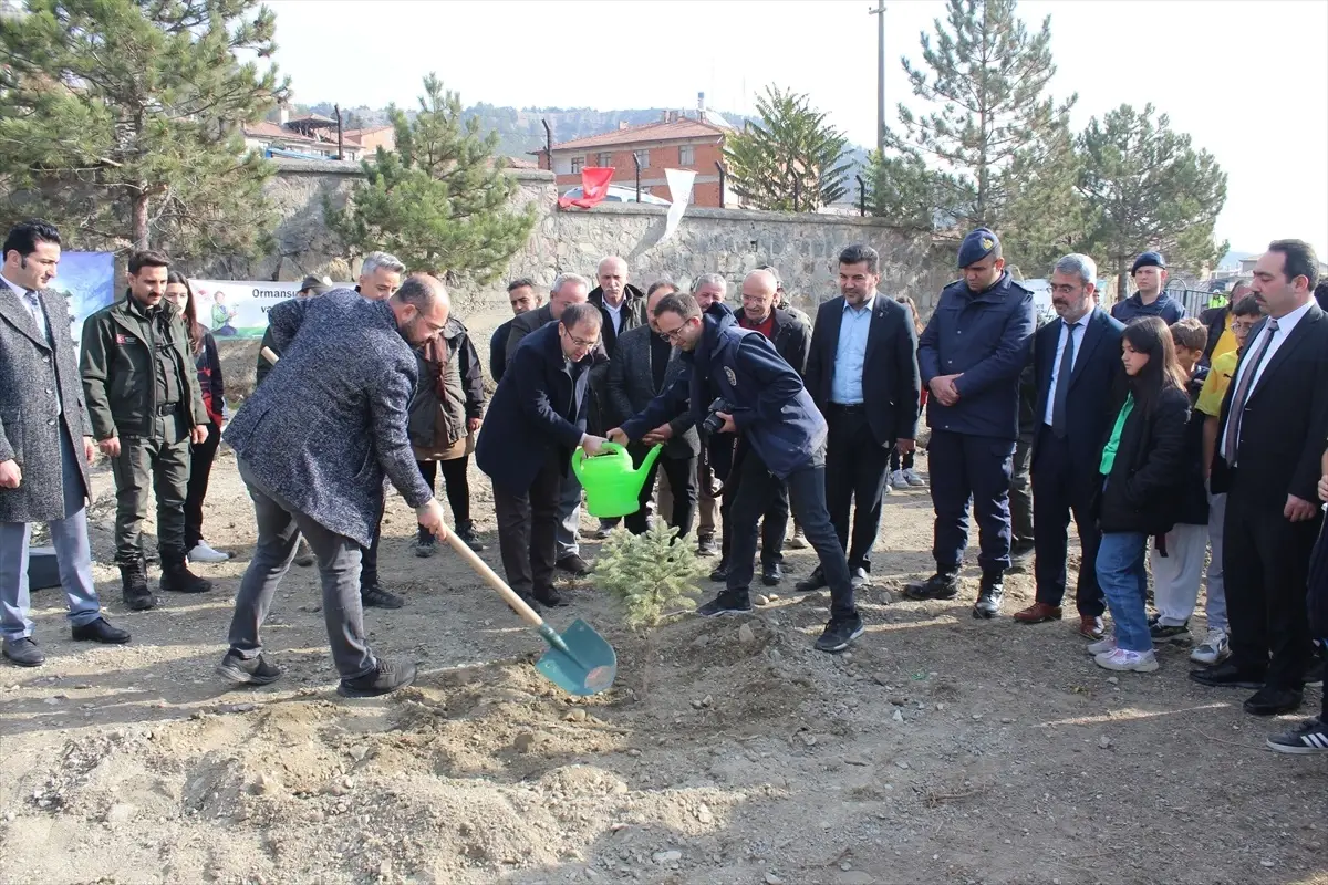 Kastamonu'nun ilçelerinde Milli Ağaçlandırma Günü'nde fidan dikildi