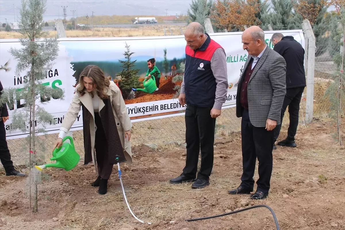 Malatya'da 11 Kasım Ağaçlandırma Günü Etkinlikleri