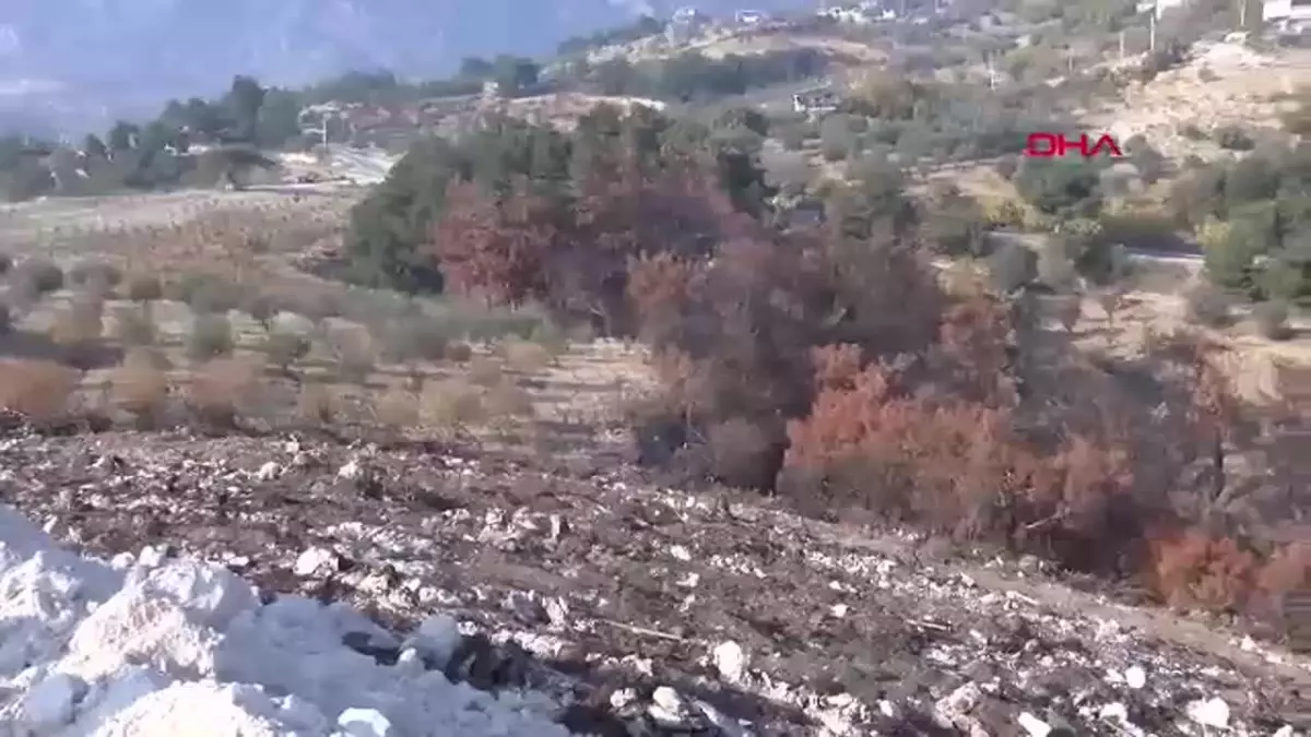 Manisa'da Milli Ağaçlandırma Günü Kutlandı