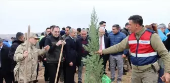 Midyat'ta Milli Ağaçlandırma Günü Etkinliği Düzenlendi