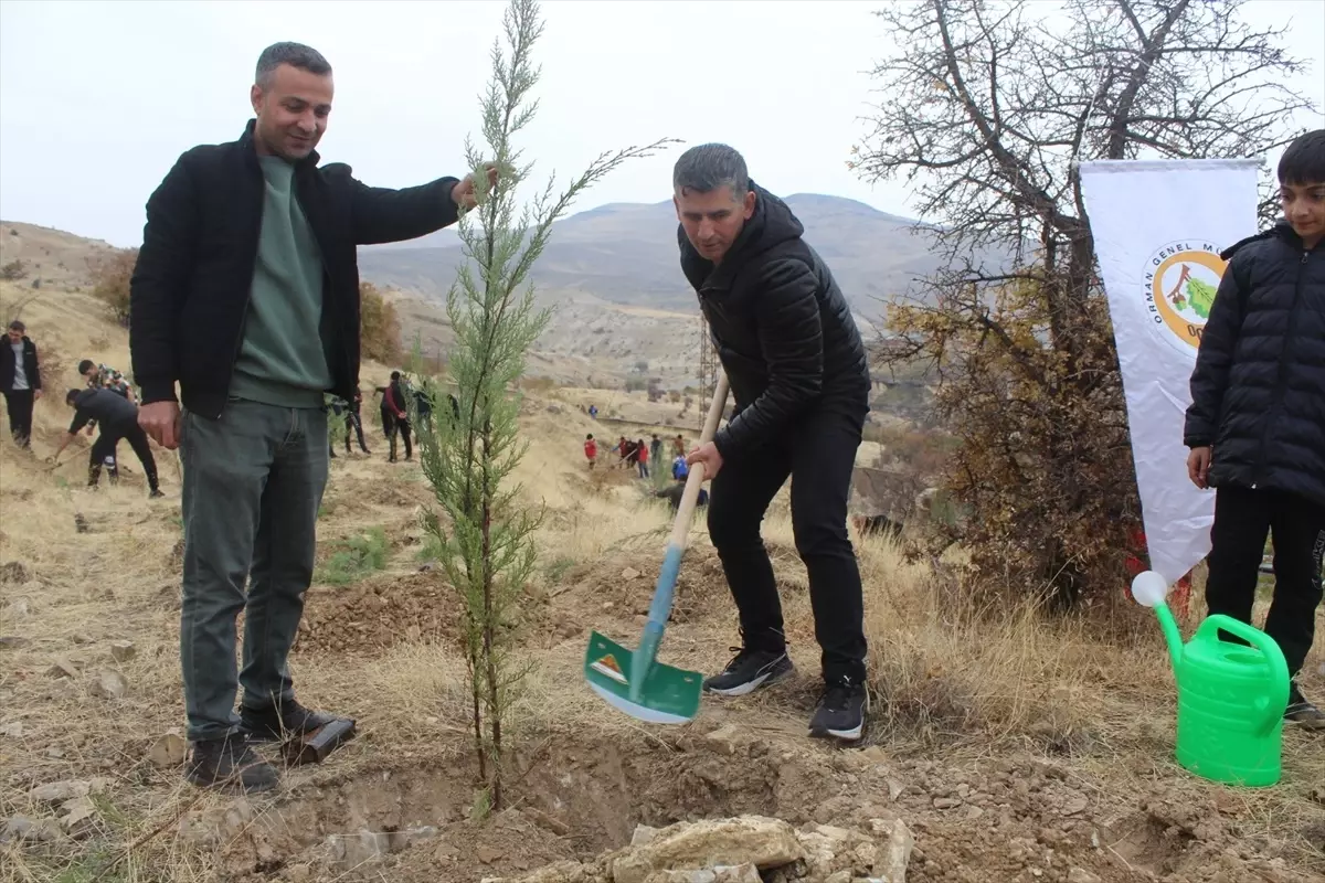 11 Kasım Milli Ağaçlandırma Günü'nde Fidan Dikimi Etkinlikleri