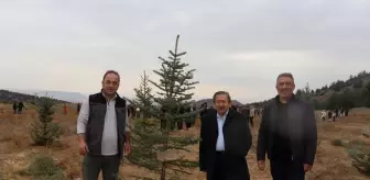 Nallıhan'da 11 Kasım Milli Ağaçlandırma Günü Etkinlikleri Düzenlendi