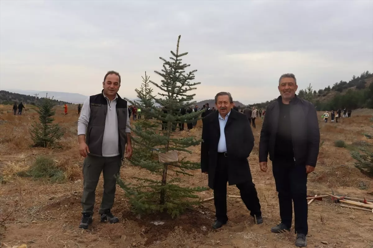 Nallıhan'da 11 Kasım Milli Ağaçlandırma Günü Etkinlikleri Düzenlendi