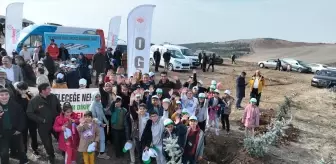 Sorgun'da 11 Kasım Milli Ağaçlandırma Günü Kutlandı