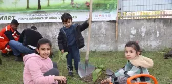 Amasya'da 11 Kasım Milli Ağaçlandırma Günü Etkinlikleri