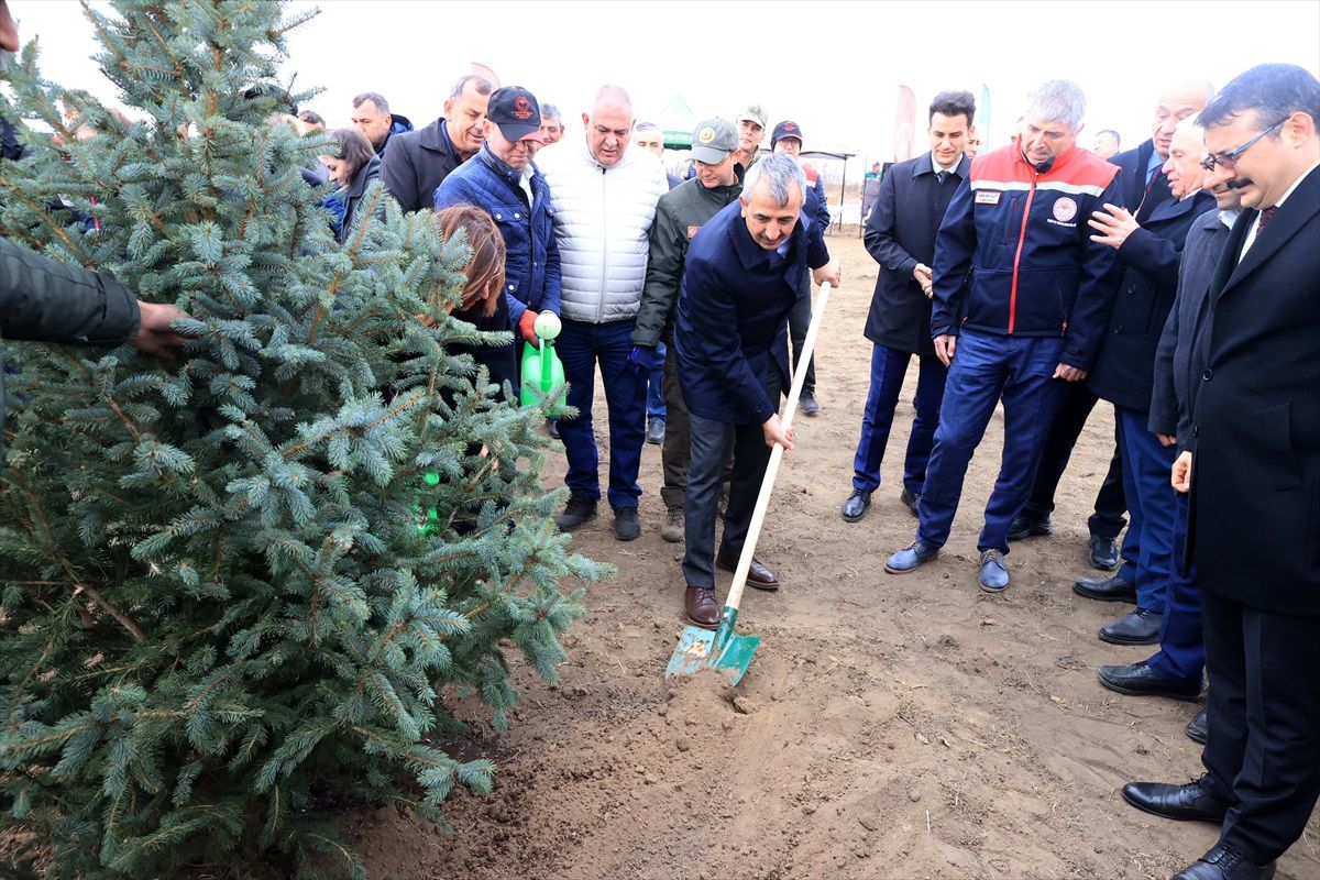 Trakya'da Milli Ağaçlandırma Günü Etkinlikleri Gerçekleşti