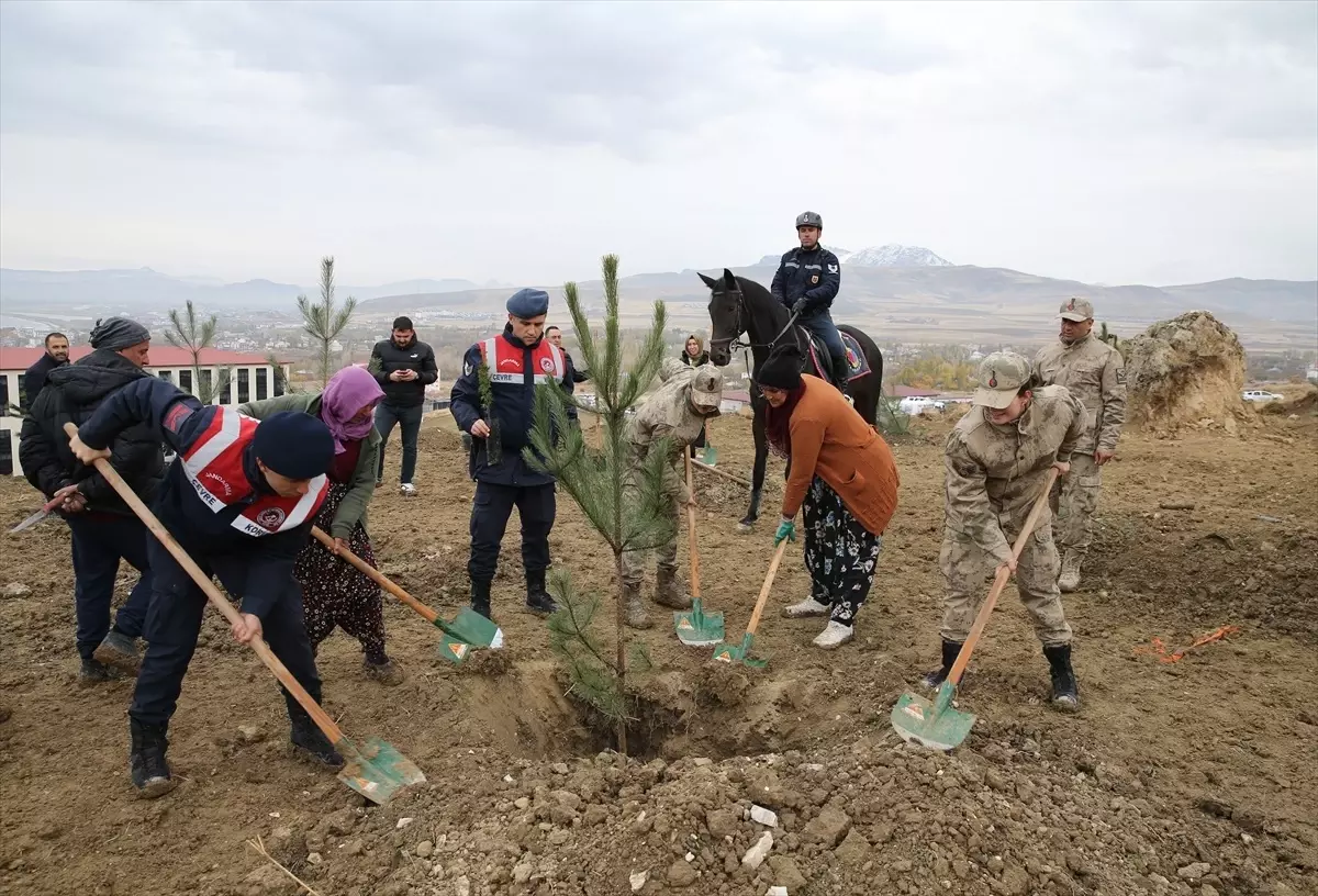 Van ve Bitlis'te Milli Ağaçlandırma Günü Kutlandı