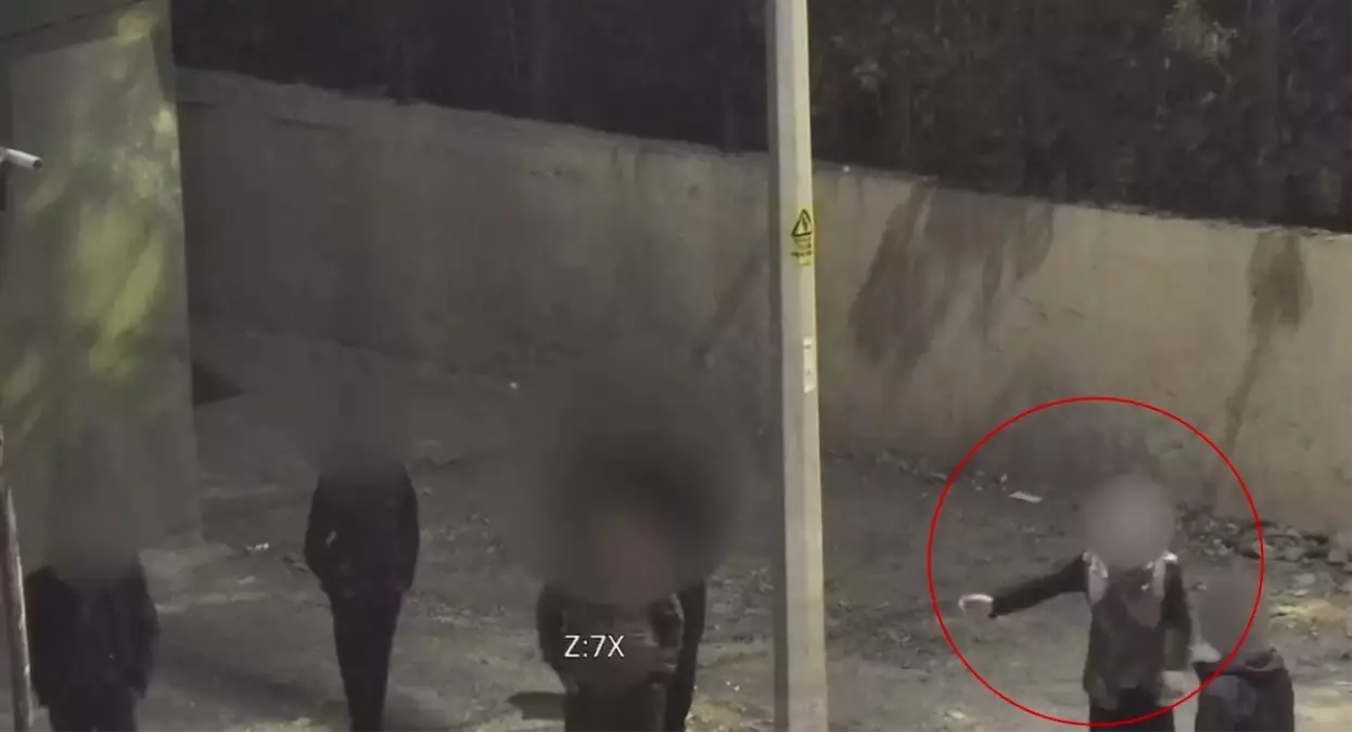 Batman'da Yasaklı Eyleme Yaşlı Kadın Müdahale Ediyor