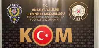 Antalya'da Kaçakçılık Operasyonu: 11 Gözaltı