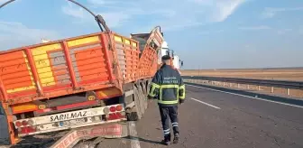 Nusaybin'de TIR Kazası: İki Büyükbaş Hayvan Hayatını Kaybetti