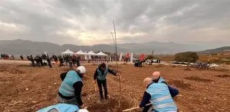 Bilecik'te Mahkumlar Fidan Dikimi Yapıldı