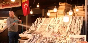 Mersin'de 18 Kilogram Ağırlığında Torik Balığı 1500 TL'ye Satıldı