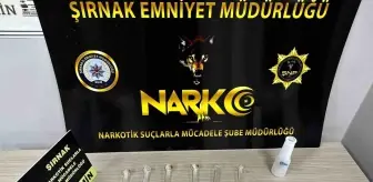 Şırnak'ta Kaçakçılık ve Narkotik Operasyonları: 49 Gözaltı, 4 Tutuklama