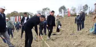 Tekirdağ'da Milli Ağaçlandırma Günü Fidan Dikimi