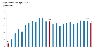 TÜİK, Eylül Ayı Dış Ticaret Endekslerini Açıkladı