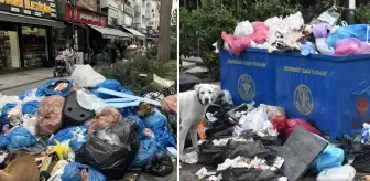 Belediyede grev var, sokaklar adeta çöplüğe döndü