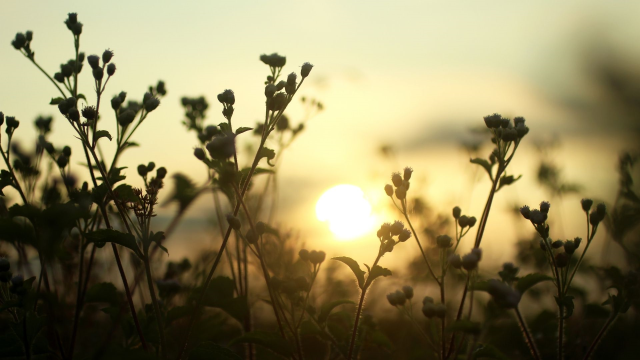 Dünya İyilik Günü mesajları ve sözleri! 13 Kasım Dünya İyilik Günü önemi nedir?