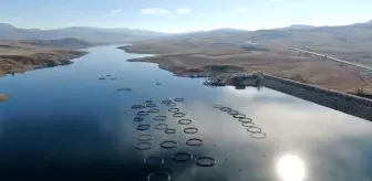 Denizsiz Sivas'tan Somon İhracı Başladı