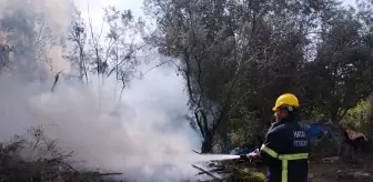 Hatay'da Zeytinlik Alanda Yangın Çıktı