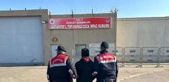 Gaziantep'te zeytin hırsızlığı şüphelisi tutuklandı