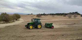 Kıraç Topraklar İçin Yeni Arpa Tohumları Denizli'de Ekildi