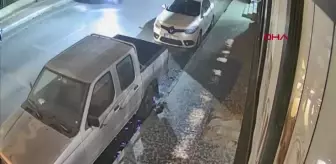 Mersin'de Otomobilin Çarptığı Köpeklerden Biri Öldü